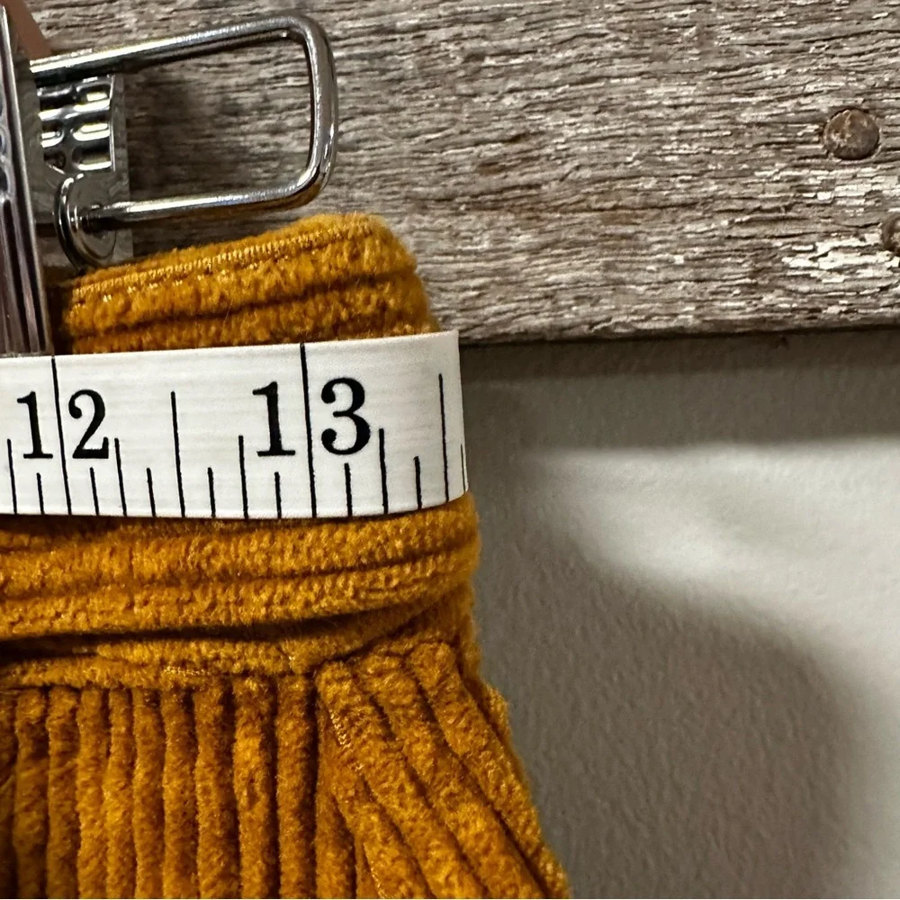 Madewell Corduroy A-Line Mini Skirt: Patch Pocket Edition - Picture 10 of 12